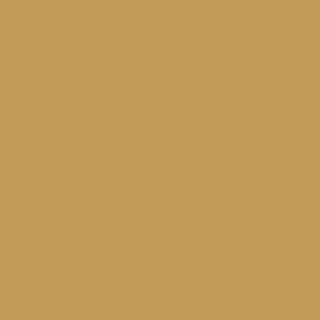 Lona PVC Alta Resistencia 66238 BEIGE RAL 1001 | Uso Profesional | 250 cm