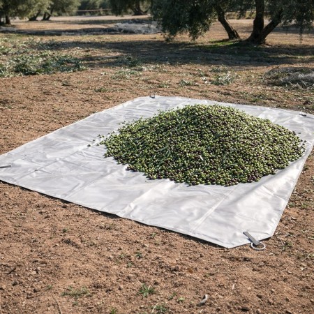 Mantilla de Aceituna en PVC 670 g/m² | Mucho Más Resistente que la Rafia